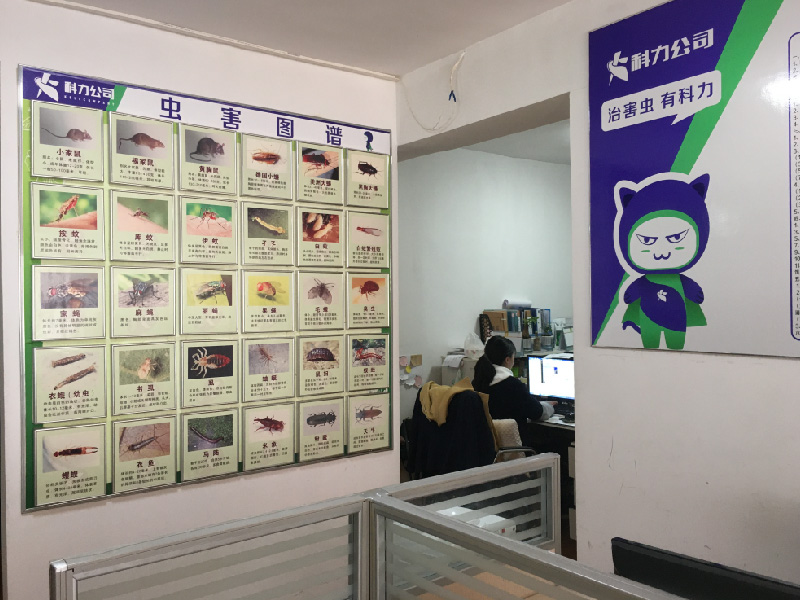 公司环境