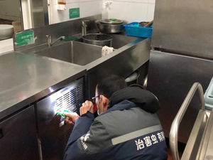 凯宾斯基酒店灭蟑检查