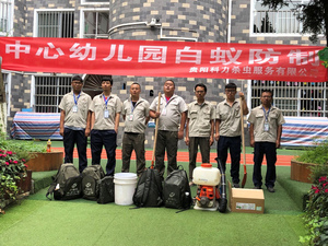 中心幼儿园白蚁防制