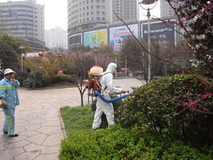 工程案例
